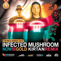 Infected Mushroom - Now Is Gold (Kirtan Remix)