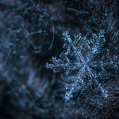 Setting Intentions Guided Meditations