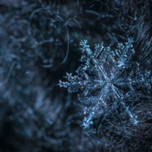 Setting Intentions Guided Meditations