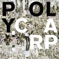 PREMIERE: Simon Ferdinand - Broken [Polycarp Records]
