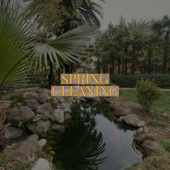 Spring Cleaning (Prod.) WhoOnTheTrack