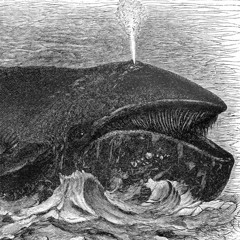 Moby Dick Chapter 01