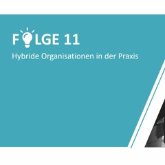 #11 - Hybride Organisationen in der Praxis