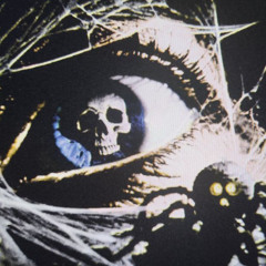 NIGHT TERROR: III
