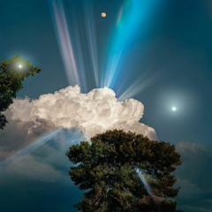 WAGMANE - White Lies