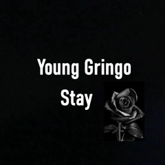 Young Gringo - Stay
