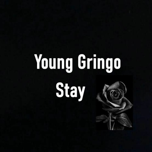 Young Gringo - Stay