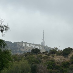 HOLLYWOOD