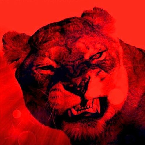 OUTSIDE X ROTATION DR.DIVINE REMIX