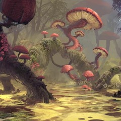 THE RISE OF THE SWAMP