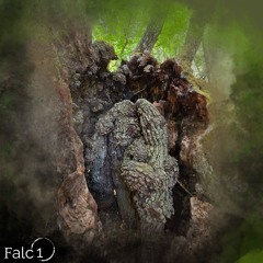 The old tree  - Valentino