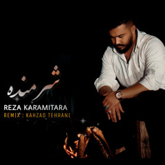 Sharmandeh (Remix) Reza Karami Tara