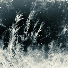 Liminal Reflections | Ambient & Downtempo Mix