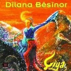Koma Çîya - Tolhildan