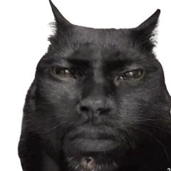 ripxeia - let you down