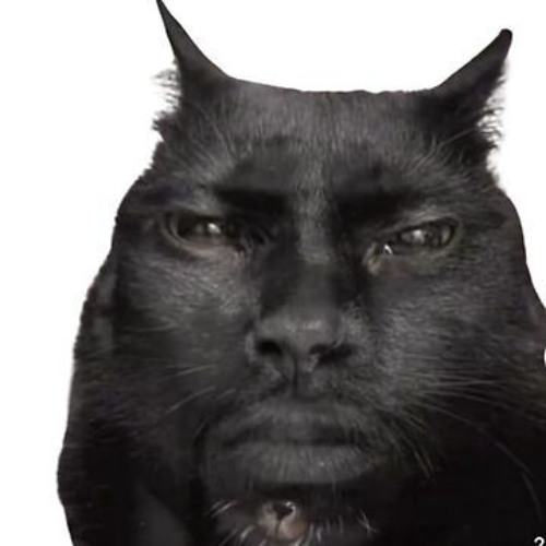 ripxeia - let you down