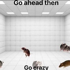 Crazy? I was crazy once they locked me in a room a rubber room with rats the rats made me crazy