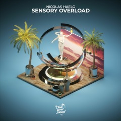 Nicolas Haelg - Sensory Overload