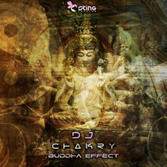 DJ Chakry - Buddha Effect (STRDW182 - Sting Records)