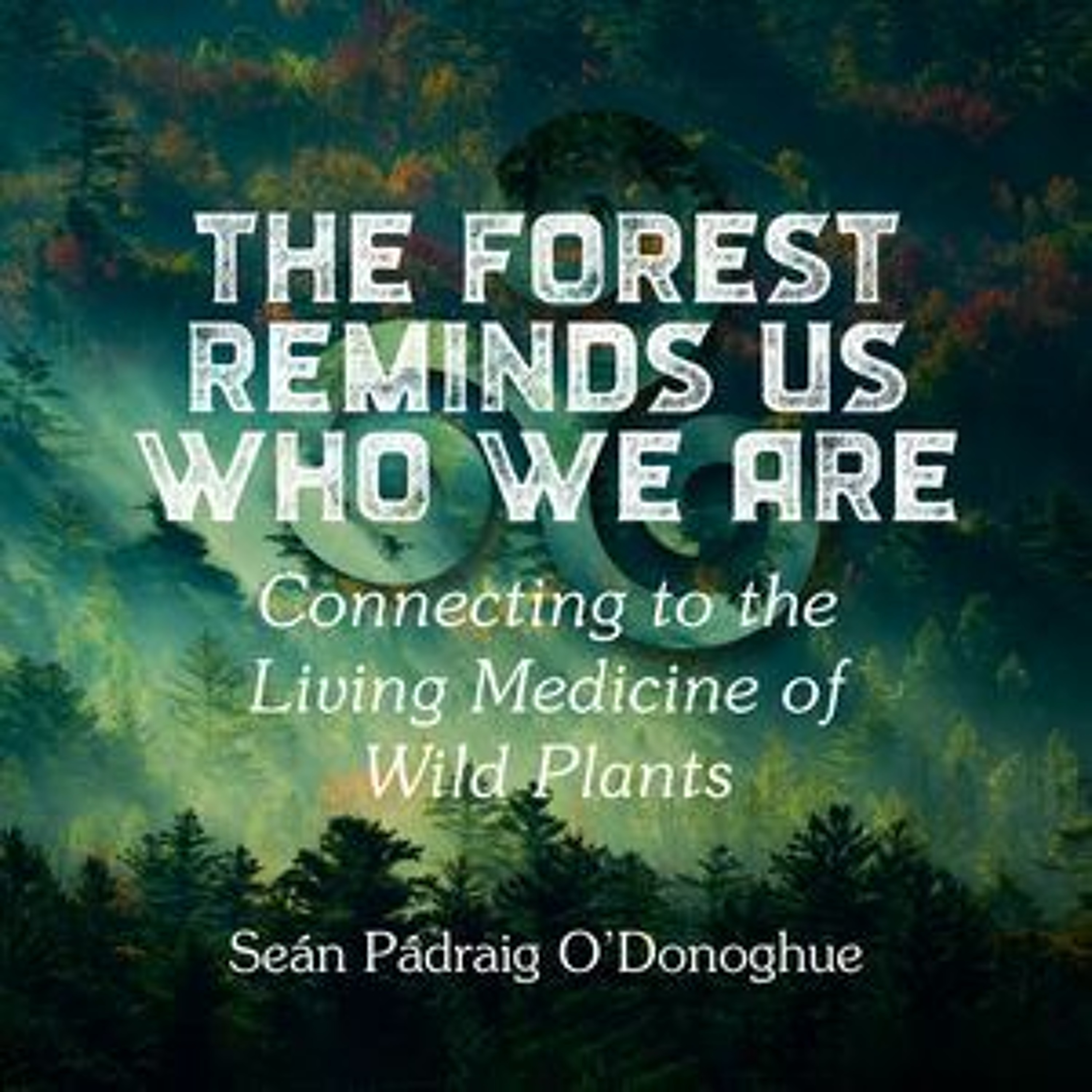 The Magical Mystery Tour July 23 2021 Sean Padraig O'Donuhue The Forest Reminds Us Who We Are episode artwork