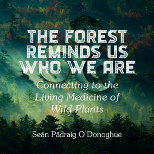 The Magical Mystery Tour July 23 2021 Sean Padraig O'Donuhue The Forest Reminds Us Who We Are