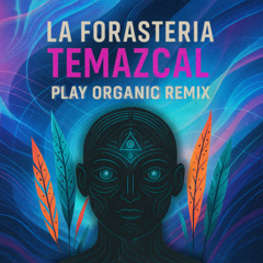 Temazcal (Remix)