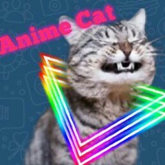 6.-Anime Cat