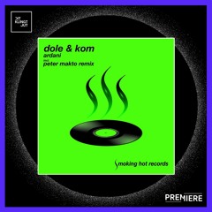 PREMIERE: Dole & Kom - Ardani (Peter Makto Remix) | Smoking Hot Records