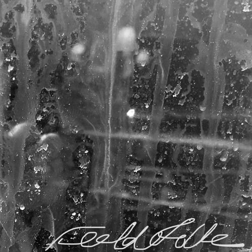 but they which are written in the Lamb's book of life.