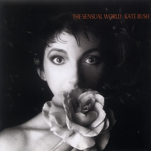 THIS WOMAN’S WORK/KATE BUSH(12\