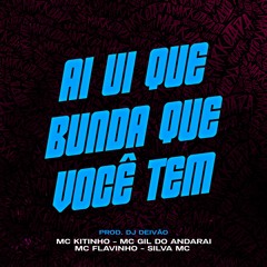 MCS Kitinho, Gil do Andarai, Flavinho e Silva - Ai Ui Que Bunda Que Você Tem (DJ Deivão)