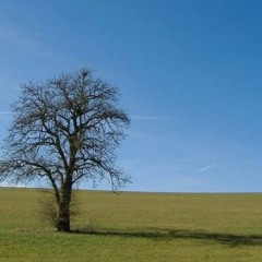 no drums indie type beat "warm weather"
