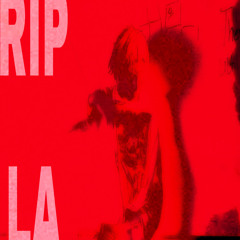 long live LA (sino)