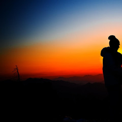 wildinthenight II (feat. xannyarchive)