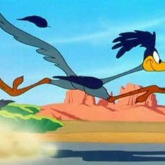 Road Runner