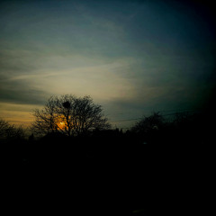 Uncontrollable empathy (alternate version)