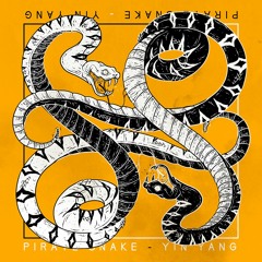 Pirate Snake - Yin-Yang (Original Mix)