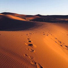 Dani - Dry Desert (organic & deep house)