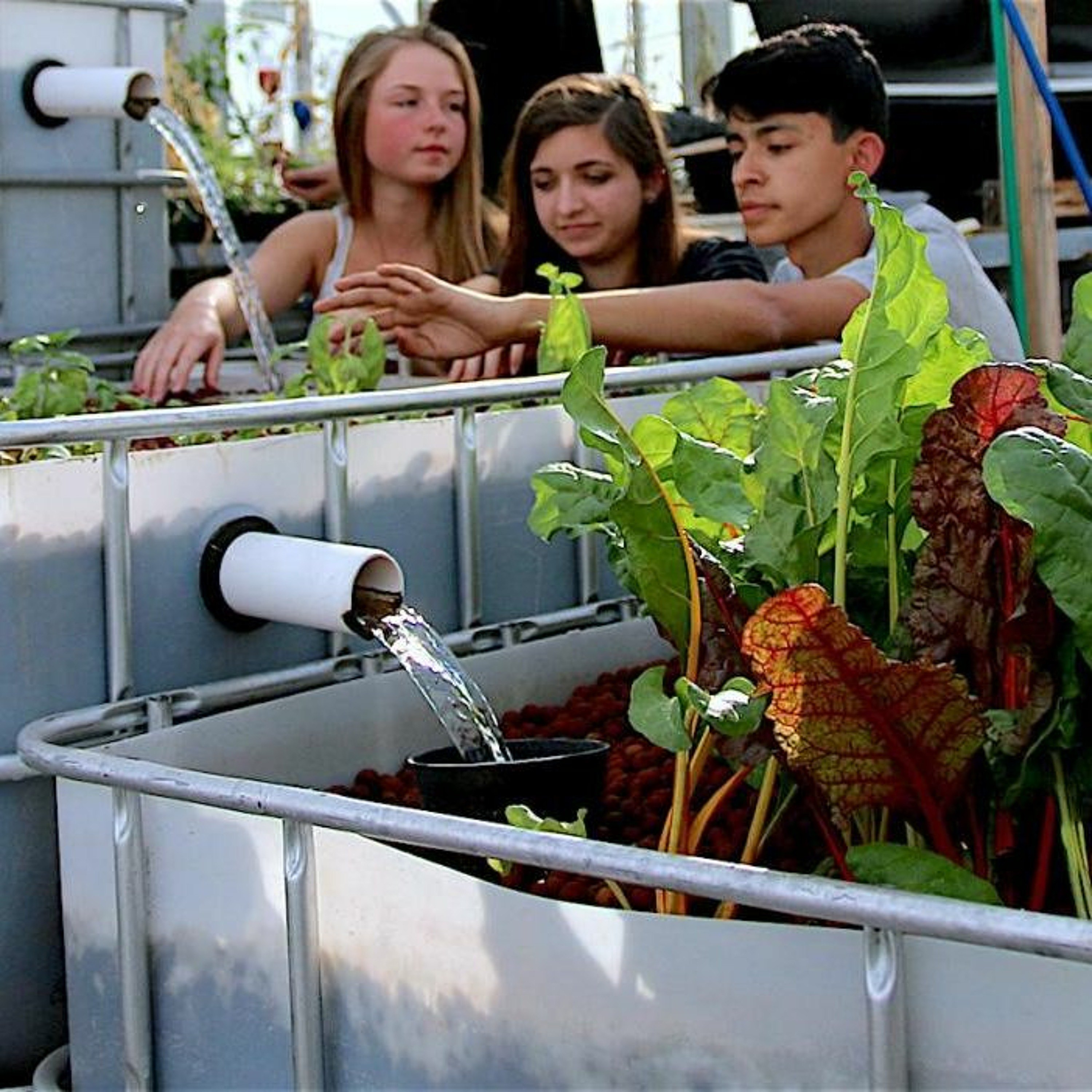 Journal of the Southwest Radio