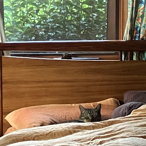 Heaney on holidays #2