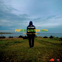 Pine N Ginger VIII (Afrobeats, Reggae Blends)