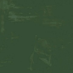 Lapsus memoriae (Confusa-mente)