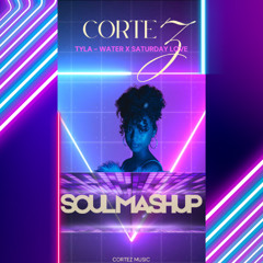 Tyla - Water x Saturday Love - Soul Groove Mashup