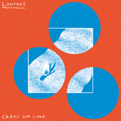 Lontras - Dúas lontras
