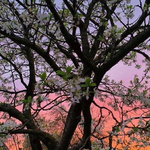 Wabi-Sabi (2021-01-01)