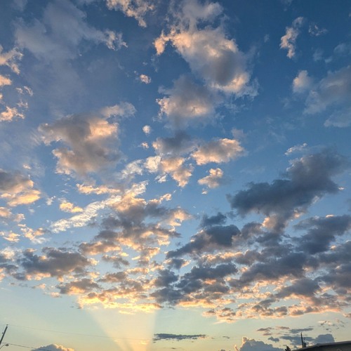 SIGNAL (prod. nines)