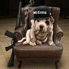Big Dawg Shi !!!