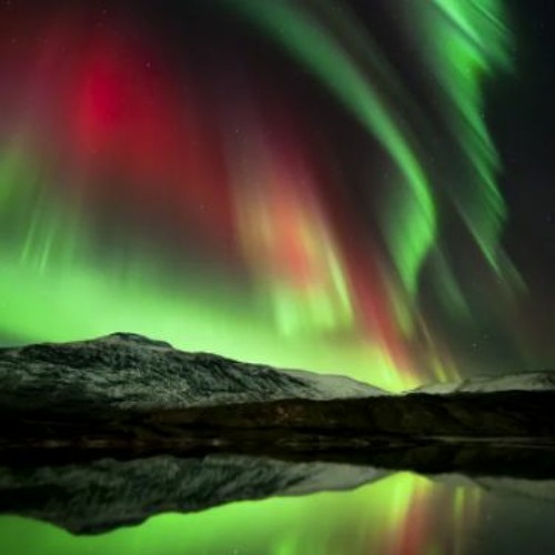 Stream Animeed Listen to dishonored is it possible to kill dogs