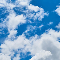 Iced Mocha Dolche Cream