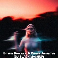 Luísa S0nza - A Dona Aranha (DJ BLACK MASHUP)